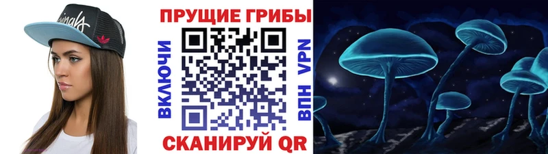 Псилоцибиновые грибы Psilocybine cubensis  магазин продажи   Арск 